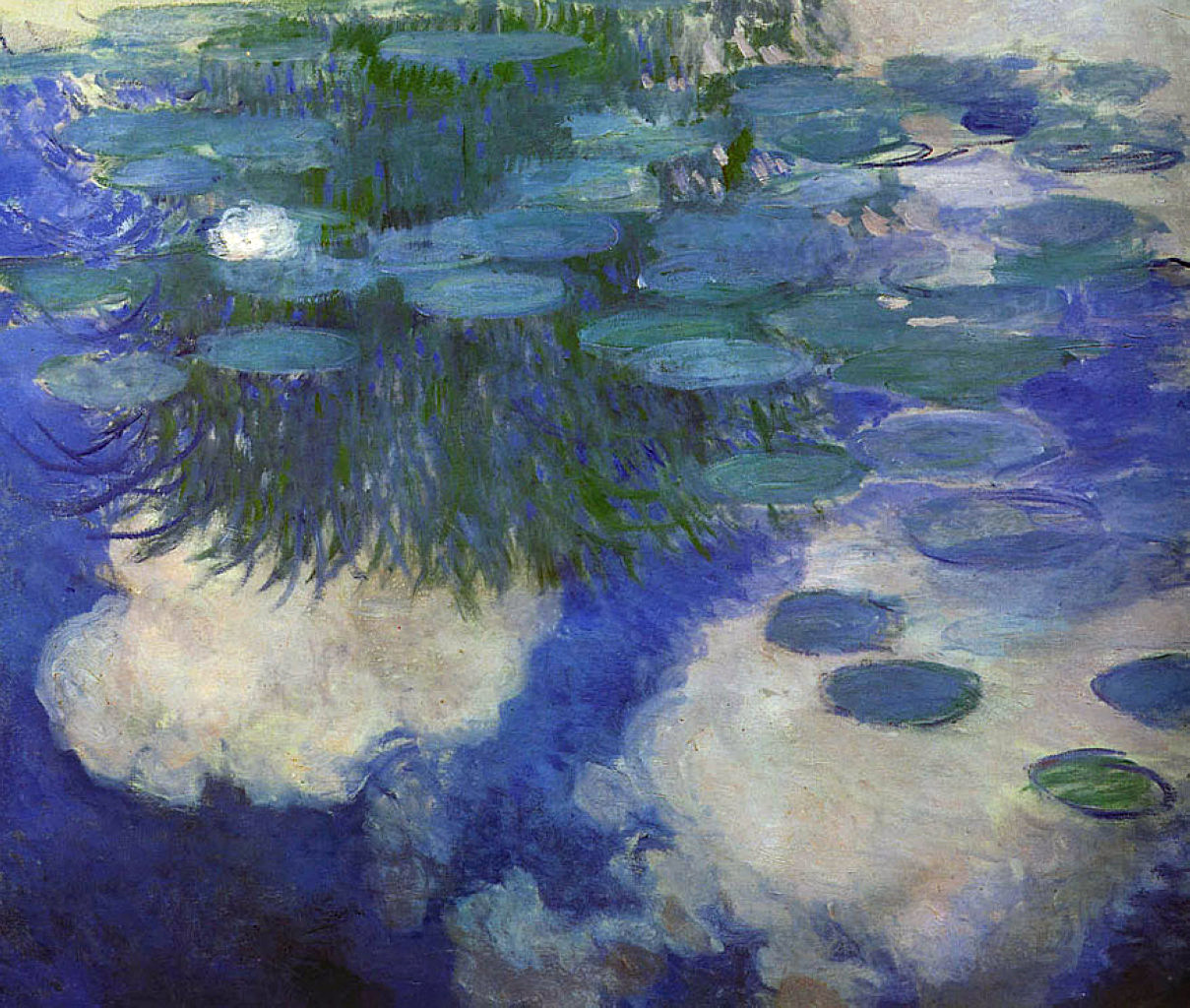 Why Monet Painted Water Lilies