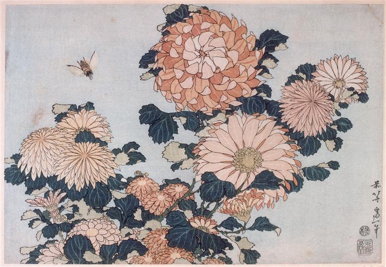 Chrysanthemums and Horsefly  Katsushika Hokusai  WikiArt.org 