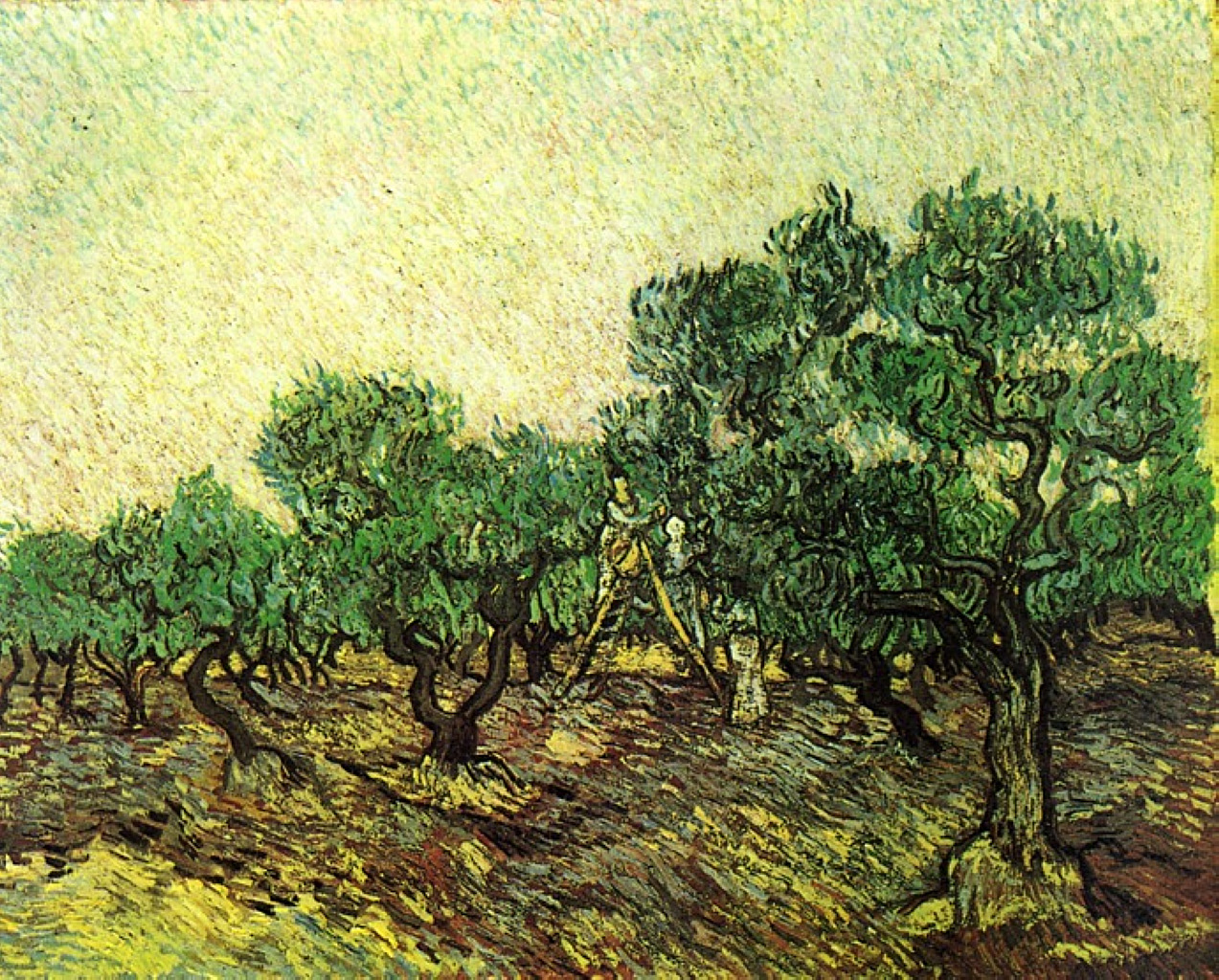 Olive Picking Vincent Van Gogh WikiArt Org Encyclopedia Of Visual Arts