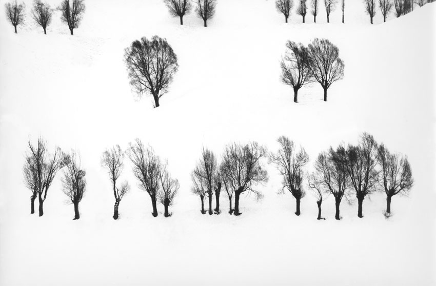 アート・デザイン・音楽 abbas kiarostami /  white (small) Snow White - Abbas Kiarostami | Artera