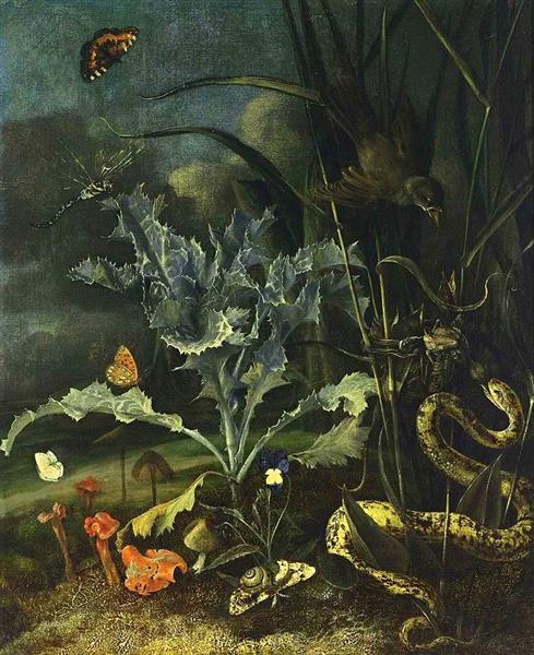 A Forest Floor Still Life, 1666 - Отто Марсеус ван Скрик