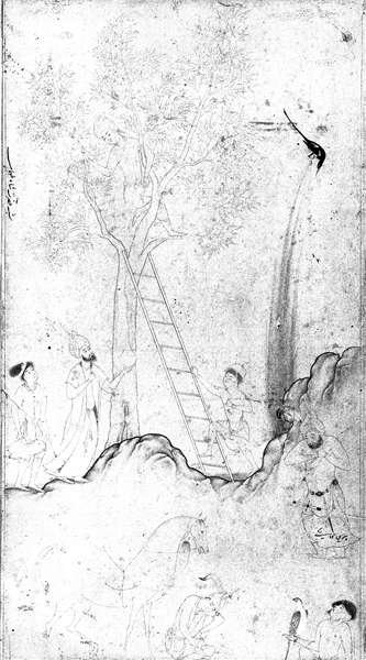 Shah Tahmasp in a Tree House, 1530 - Behzad