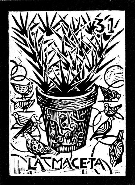 #31: La Maceta (The Flowerpot), 2008 - Marina Pallares