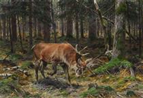 Deer in a Forest Glade - Richard Friese