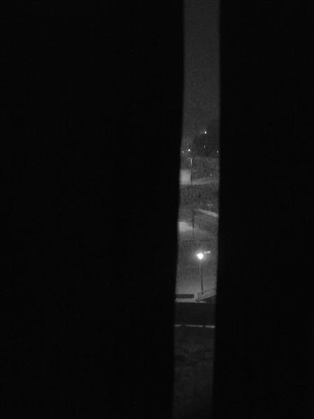 Deep in the snowy night, 2015 - Alfred Freddy Krupa
