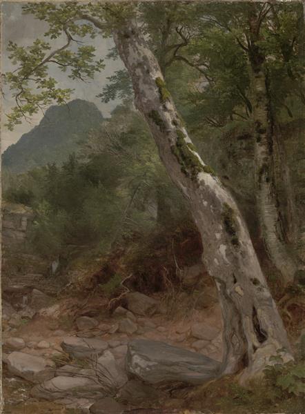 A Sycamore Tree, Plaaterkill Clove - Asher Brown Durand