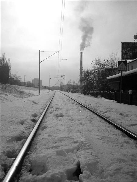 On the rails, 2016 - Alfred Freddy Krupa