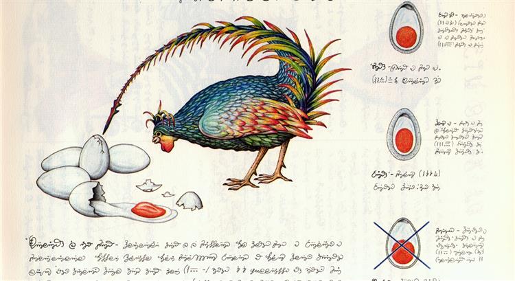 Rooster from "Codex Seraphinianus", 1981 - 路易吉·塞拉菲尼