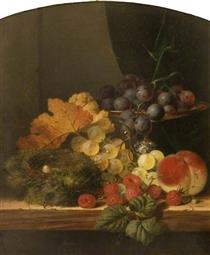 Still Life with Fruit and a Bird's Nest - Edward Ladell