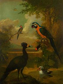 Macaw and Other Birds in a Landscape - Tobias Stranover