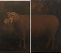 Cotswold Ram (diptych) - William Shiels