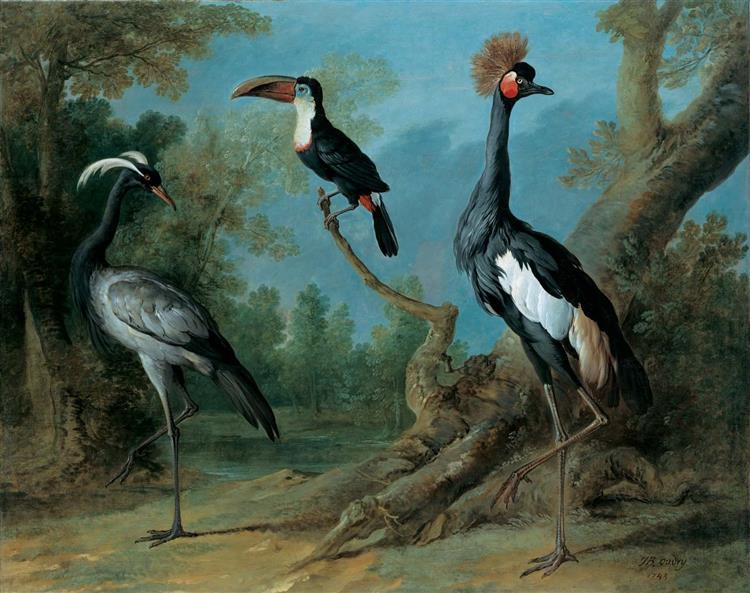 Demoiselle Crane, Toucan, and Tufted Crane, 1745 - Жан-Батіст Одрі
