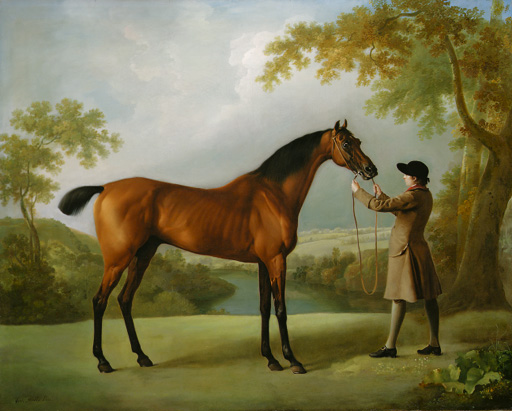 Tristram Shandy, a Bay Racehorse Held by a Groom, in An Extensive Landscape - George Stubbs
