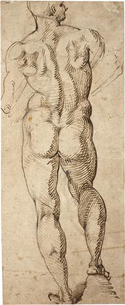 Male Nude, c.1550 - Бартоломео Пассаротті