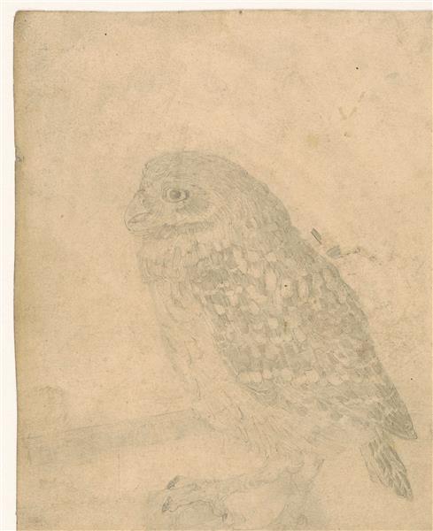 Little Owl, to the left, c.1920 - Jan Mankes