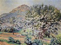 Cerisiers En Fleur - Lucien Pissarro