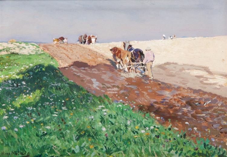 Field work - Hugo Mühlig