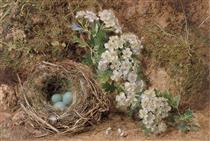 May blossom and a hedge sparrows nest - Уильям Генри Хант