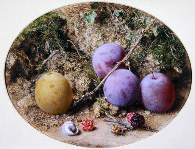 Plums and mulberries, c.1860 - Уильям Генри Хант