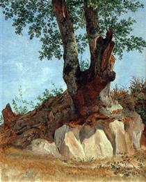 A Tree in the Campagna - Heinrich Reinhold