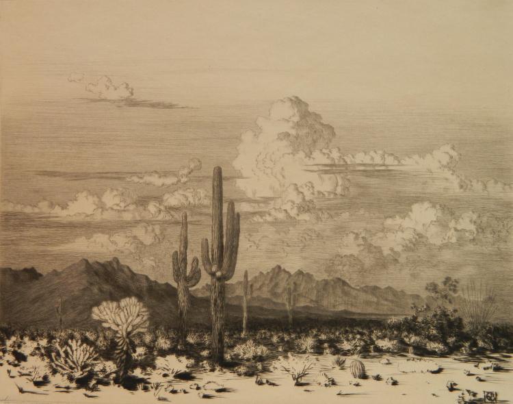 Gravura De Qualidade De Museu Sem título (tradução para Springtime, Paradise  Valley Arizona), 1920 por George Elbert Burr (1859-1939)