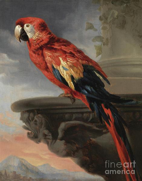 Parrot - Peter Paul Rubens