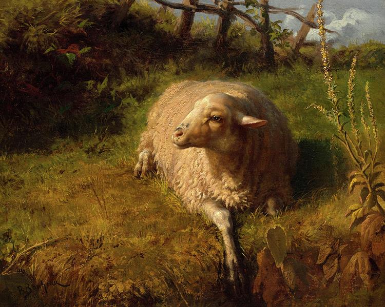 A Sheep at Rest - Роза Бонер