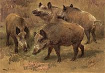 Four Boars in a Landscape - Роза Бонёр