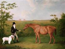 Gentleman with a White Dog and a Chestnut Mare - John Boultbee