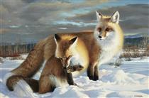 Two Red Foxes in Snow - Nancy Glazier