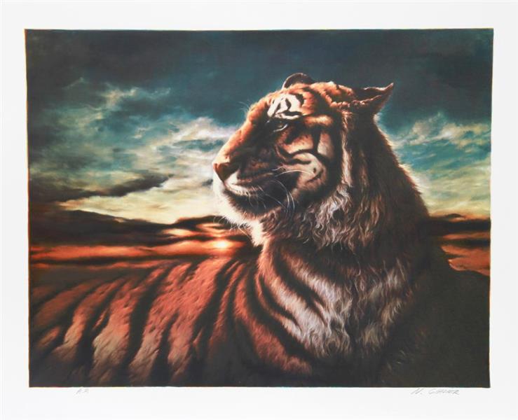 Tiger - Nancy Glazier