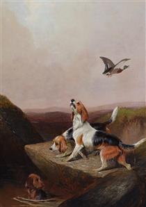 Otter hounds putting up a mallard - Colin Graeme Roe