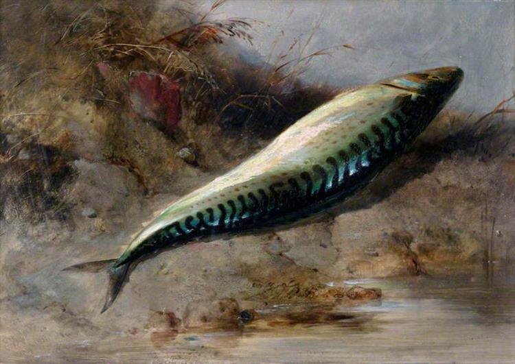 A Mackerel on the Seashore - Edward William Cooke