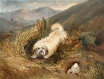 TERRIER PURSUING A RABBIT - George Armfield