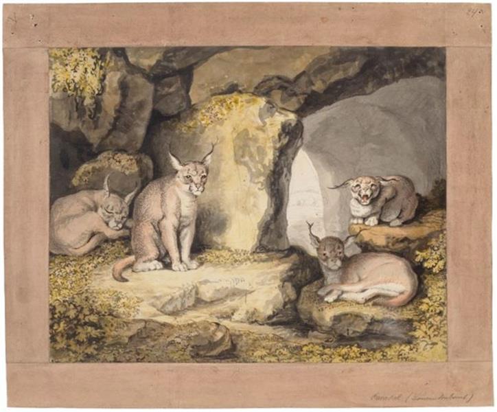 Four lynxes in a mossy cave - Johann Heinrich Wilhelm Tischbein