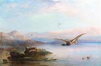 Wild Birds in Flight - Robert Henry Roe