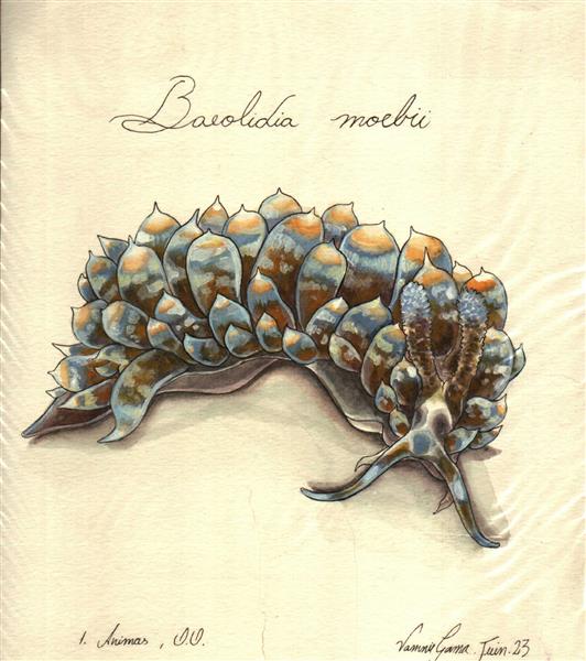 B Moebii (avant vysanimas[nº1]), 2023 - Vannie Gama