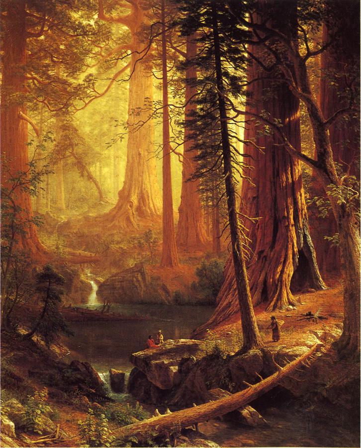 Giant Redwood Trees of California, 1874 Albert Bierstadt