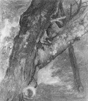 Study of a Tree, 1864 - Альберт Бірштадт