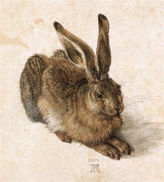Young Hare, 1502 - Albrecht Durer