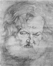 Head of Peter - Albrecht Dürer