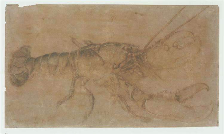 Lobster, 1495 - Альбрехт Дюрер