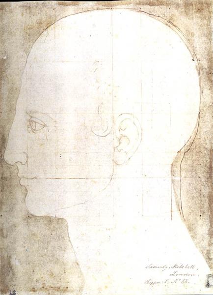 Man's head in profile - Альбрехт Дюрер