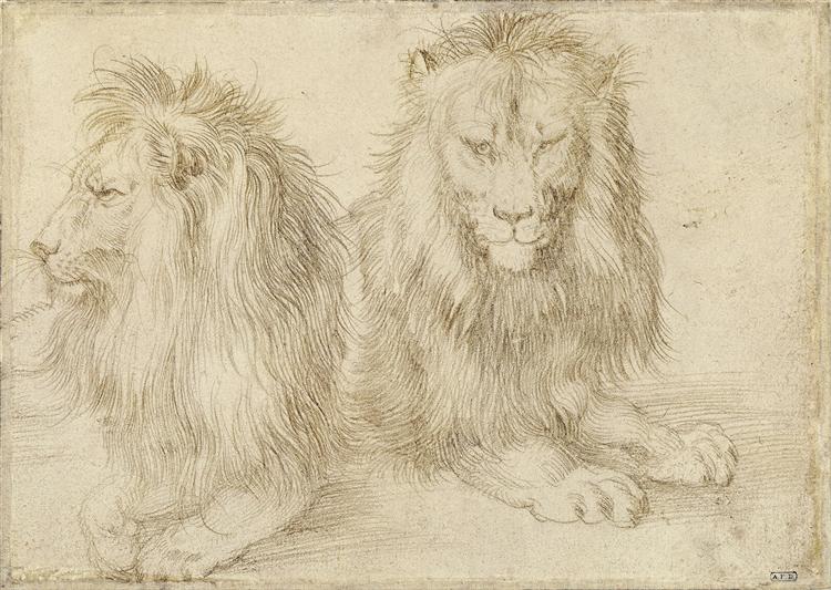 Two seated lions, 1521 - Альбрехт Дюрер