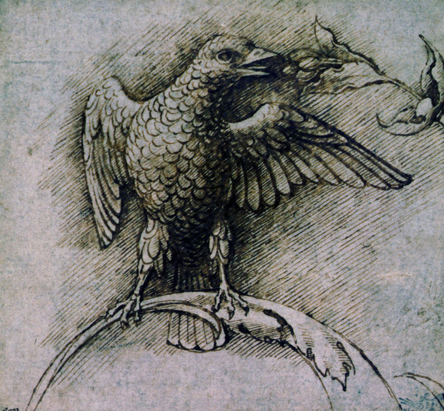 Леонардо да Винчи птица