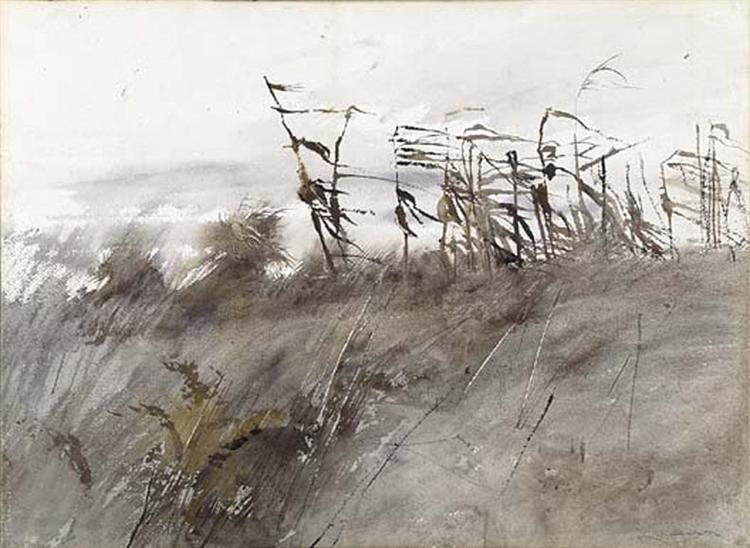 November First, 1950 - Andrew Wyeth