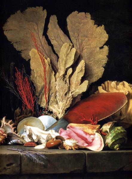 Still-Life with Tuft of Marine Plants, Shells and Corals, 1769 - Анна Валайер-Костер