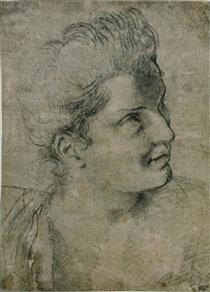 Face a woman turned towards the right - Annibale Carracci