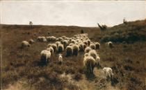 The Return of the Flock, Laren - Anton Mauve