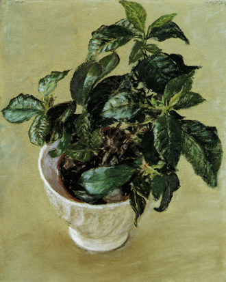 Gardenia, 2000 - Avigdor Arikha